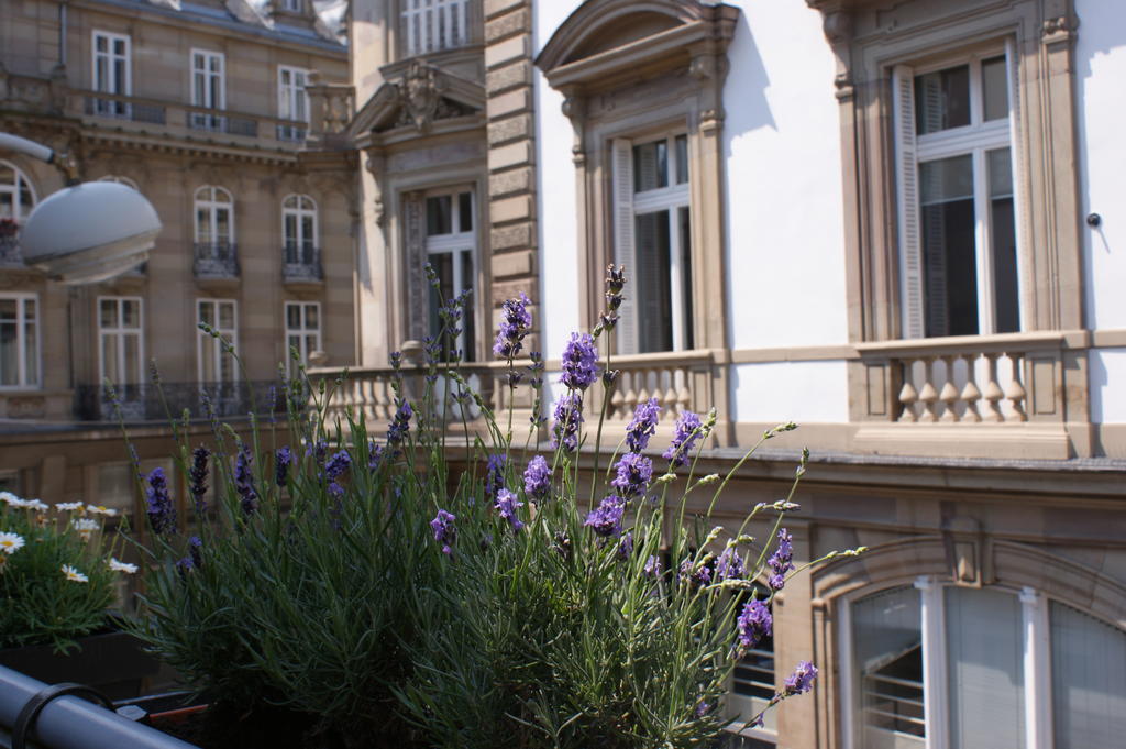 Studio de l'Hôtel de Ville Strasburgo Esterno foto